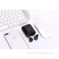 Earphones With Magnetic Charging Case